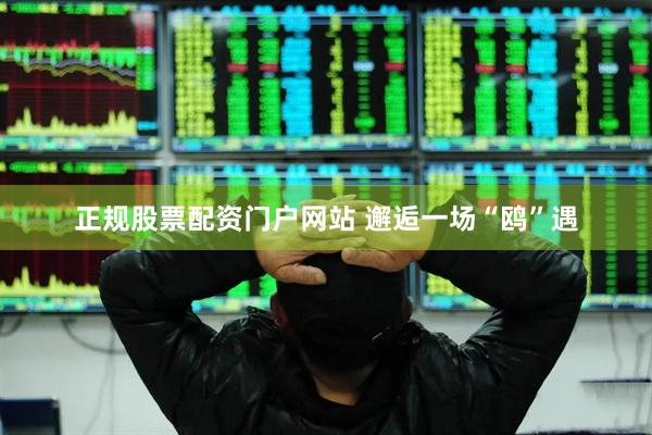 正规股票配资门户网站 邂逅一场“鸥”遇