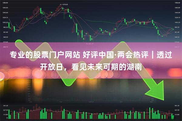 专业的股票门户网站 好评中国·两会热评｜透过开放日，看见未来可期的湖南