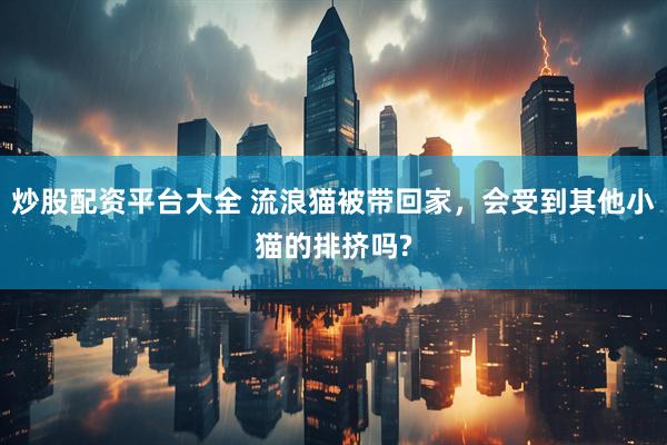炒股配资平台大全 流浪猫被带回家，会受到其他小猫的排挤吗?